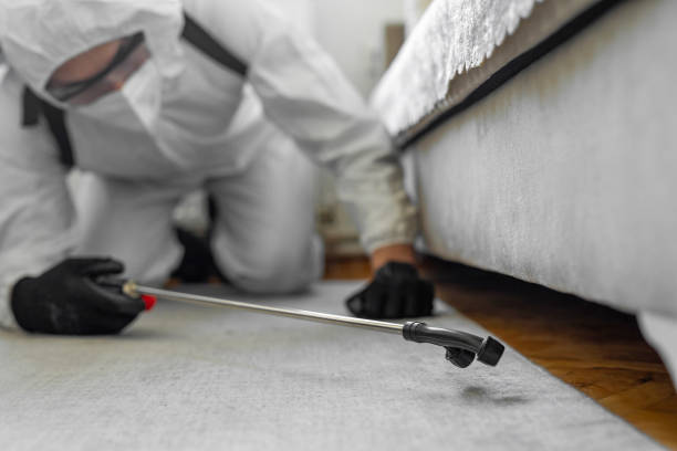 Professional Bed Bug Control technician working in Pembroke Pines, FL