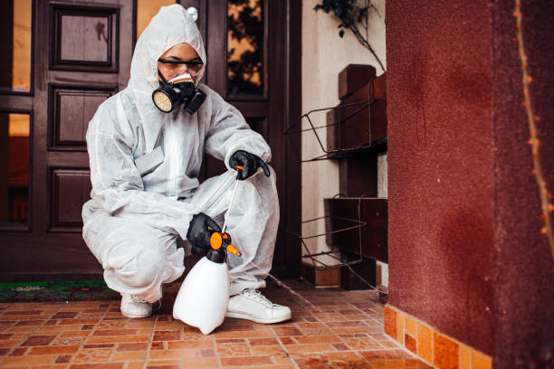 Reliable Bed Bug Control contractor in Pembroke Pines, FL by Nex Pest Control