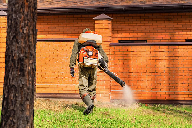 Trusted Cockroach Control service in Pembroke Pines, FL - Nex Pest Control
